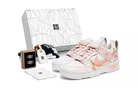 Женская обувь для скейтбординга Nike Dunk Disrupt