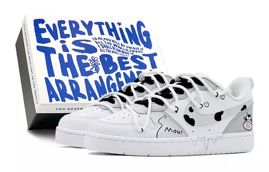 Женская обувь для скейтбординга Nike, White/Gray
