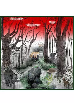 Женская шаль с цветными блоками и узором Selin Kksz