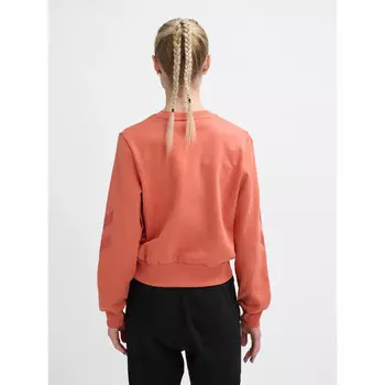 Женская спортивная толстовка Hummel, цвет ziegelsteinfarben