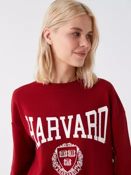 Женская толстовка большого размера с длинным рукавом и круглым вырезом с принтом LCW Casual, темно-красный