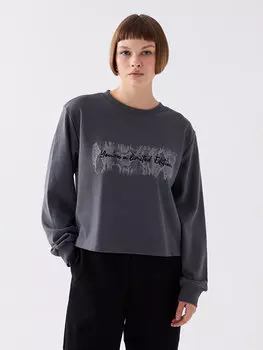 Женская толстовка с длинным рукавом и круглым вырезом с принтом LCW Vision, темно-серый