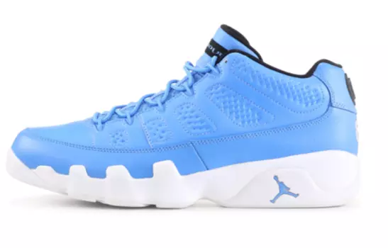 Женские баскетбольные кроссовки Jordan Air Jordan 9 Vintage