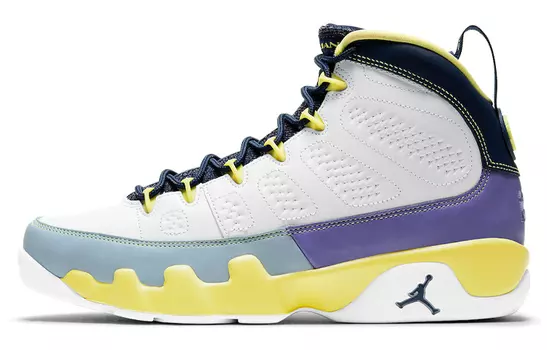 Женские баскетбольные кроссовки Jordan Air Jordan 9 Vintage
