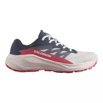 Женские кроссовки для трейлраннинга ALPHAGLIDE GTX W SALOMON, серый