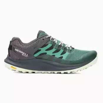 Женские кроссовки для трейлраннинга Antora 3 GTX Merrell, зеленый