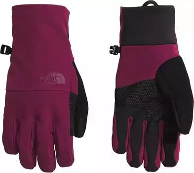 Женские перчатки The North Face Apex Etip