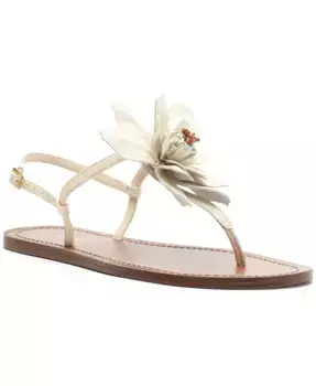 Женские плоские сандалии Daisy Buckle Arezzo, слоновая кость/кремовый