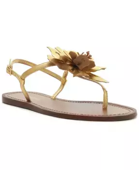 Женские плоские сандалии Daisy Buckle Arezzo, золотой