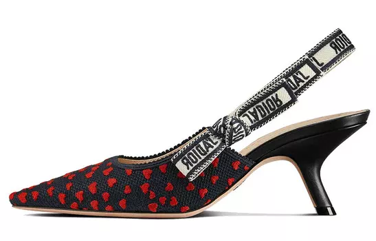 Женские туфли на каблуке Dior без пятки, темно-синий/красный