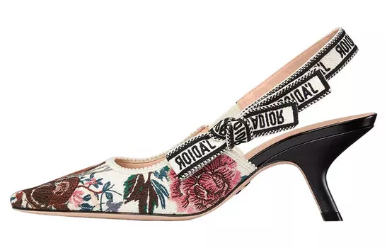 Женские туфли на каблуке Dior без пятки, разноцветный