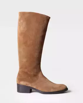 Женские замшевые сапоги на молнии Toni Pons, серый