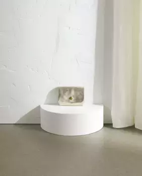 Женский двойной кожаный кошелек Stella Rittwagen, серебрянный