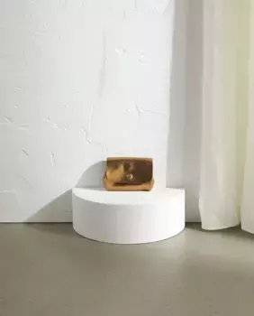 Женский двойной кожаный кошелек Stella Rittwagen, золотой