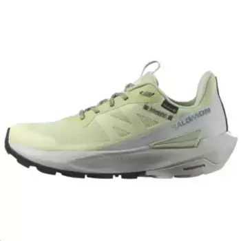 Женский Elixir Activ GORE-TEX 'Celadon Green' Salomon
