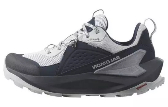 Женский Elixir GORE-TEX 'Carbon Flint Stone' Salomon