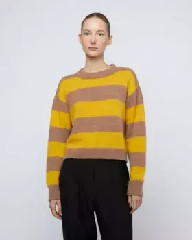 Женский короткий свитер с полосатым принтом Wild Pony, мультиколор