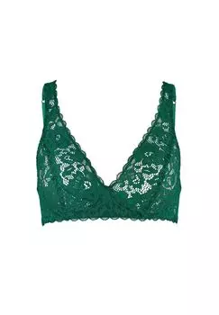Женский кружевной бюстгальтер без косточек Natural Comfort CALIDA, цвет Nevada Green