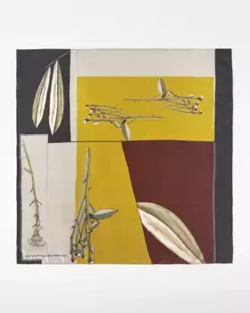 Женский принтованный шелковый шарф Adolfo Dominguez, мультиколор