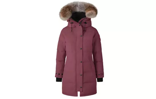 Женский пуховик Canada Goose, elderberrycolor