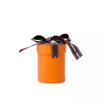 Женский разноцветный шелковый шарф Mulberry Silk HERMES