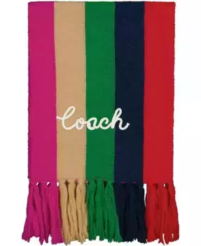 Женский шарф Multi Stripe COACH, мультиколор