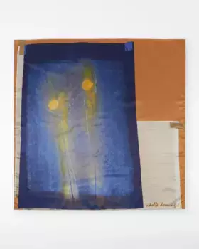 Женский шарф с принтом среднего размера Adolfo Dominguez, оранжевый