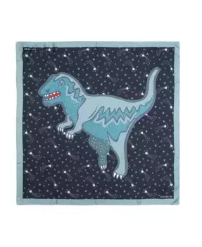 Женский шелковый платок квадратной формы Shooting Star Rexy с принтом COACH, черный