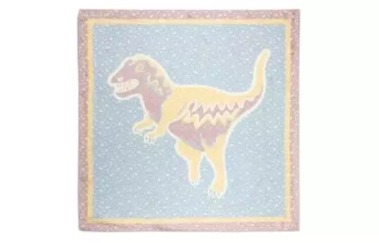 Женский шелковый шарф COACH