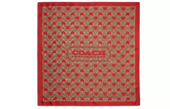 Женский шелковый шарф COACH, Red