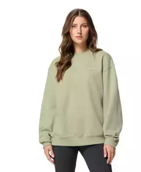 Женский свитшот с круглым вырезом и длинным рукавом Aldermore Columbia, коричневый/бежевый