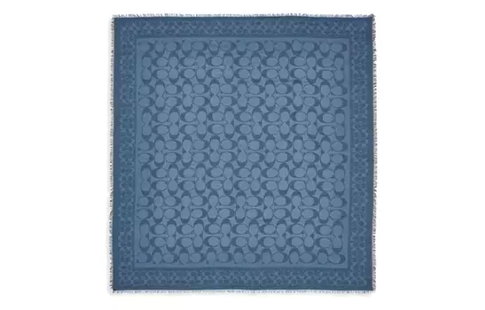 Женский вязаный шарф COACH, Blue