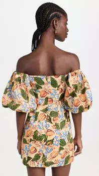 Женское мини-платье Rhode Dali из 100% льна, Capri Orchard, оранжевое, с цветочным принтом