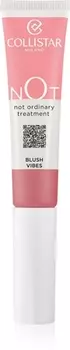 Жидкие румяна Collistar NOT Blush Vibes, Frozen Raspberry 15 ml