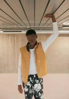 Жилет Dickies УТИНЫЙ ЖИЛЕТ, утка коричневого цвета, цвет stone washed brown duck