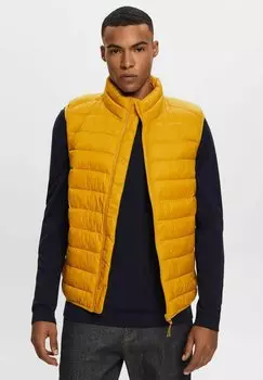 Жилет Esprit ПУФФЕР, цвет amber yellow
