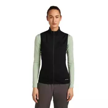 Жилет Icebreaker Merino Blend 300 RealFleece Descender, черный
