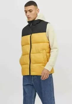 Жилет Jack & Jones ETOBY COLLAR SN, цвет honey gold