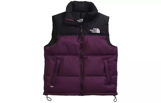 Жилет мужской Blackcurrant Purple The North Face, черный