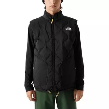 Жилет мужской черный The North Face, черный