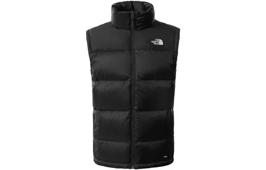 Жилет мужской черный The North Face, черный