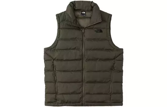 Жилет мужской Джаспер The North Face, цвет Jasper