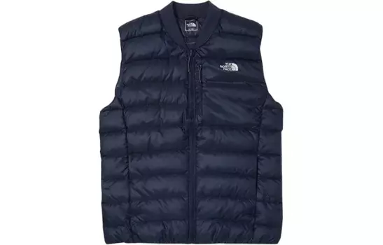 Жилет мужской синий The North Face, синий