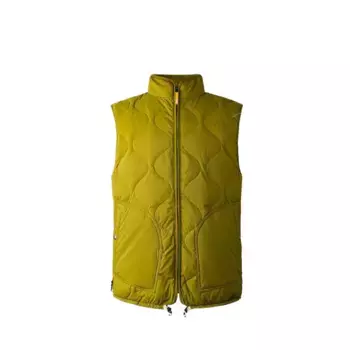 Жилет мужской светло-зеленый The North Face, светло-зеленый