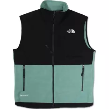 Жилет мужской зеленый The North Face, зеленый