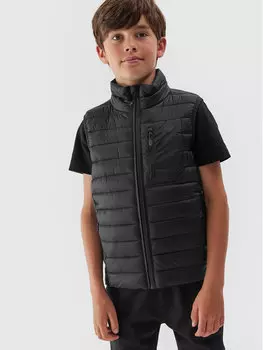 Жилет стандартного кроя 4F, черный