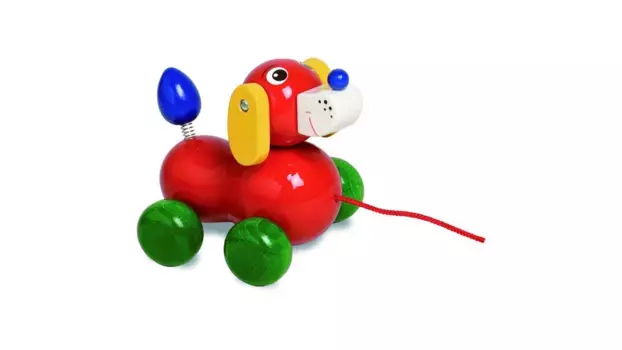 Животные-колясочники собака Walter