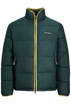Зимнее пальто Jack & Jones, темно-зеленый