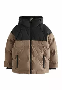 Зимнее пальто PADDED PUFFER-REGULAR FIT Next, коричневый