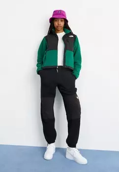 Зимнее пальто RETRO DENALI JACKET The North Face, зеленый